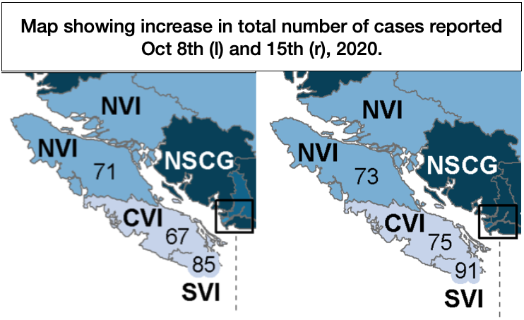 Only two new cases reported in North Vancouver Island last week