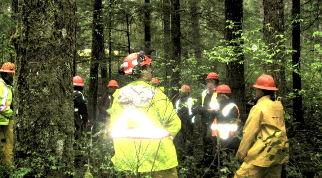 A group of people in raingear walking through thick forest