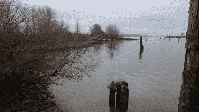 Shoreline where the jetty will go from WesPac Tilbury Marine Jetty Project Project Description CEAA Summary