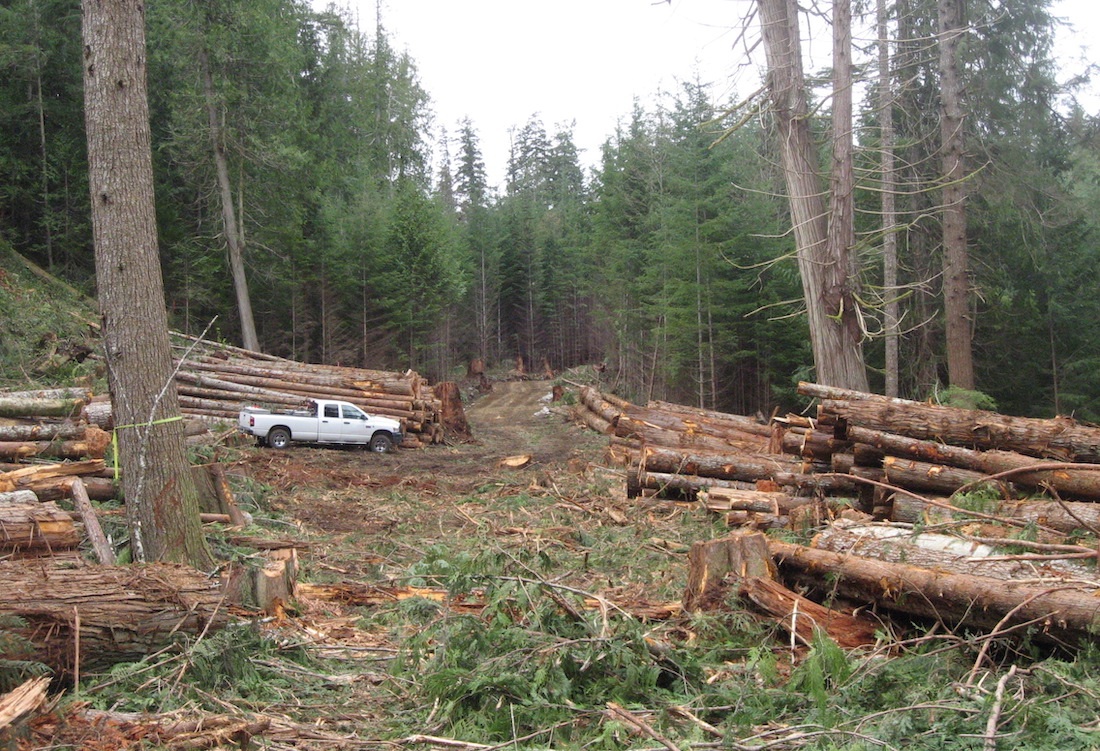 Clarifying The Meaning Of “Sustainability”In The Management Of The ...