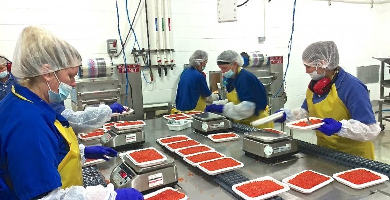 Island seafood processors on B.C.’s Pacific coast 