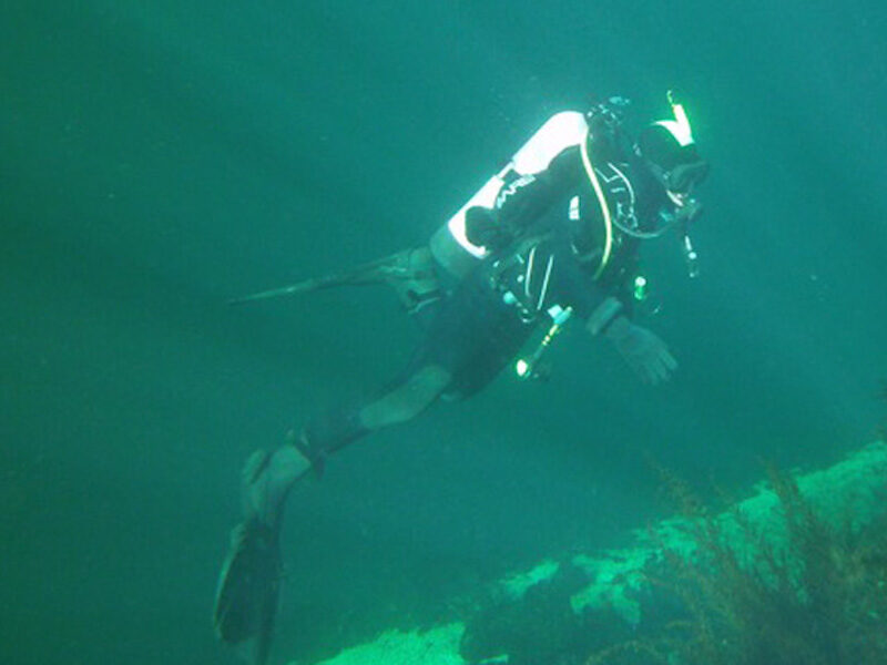 Sabina Leader Mense diving in the water near Cortes Island