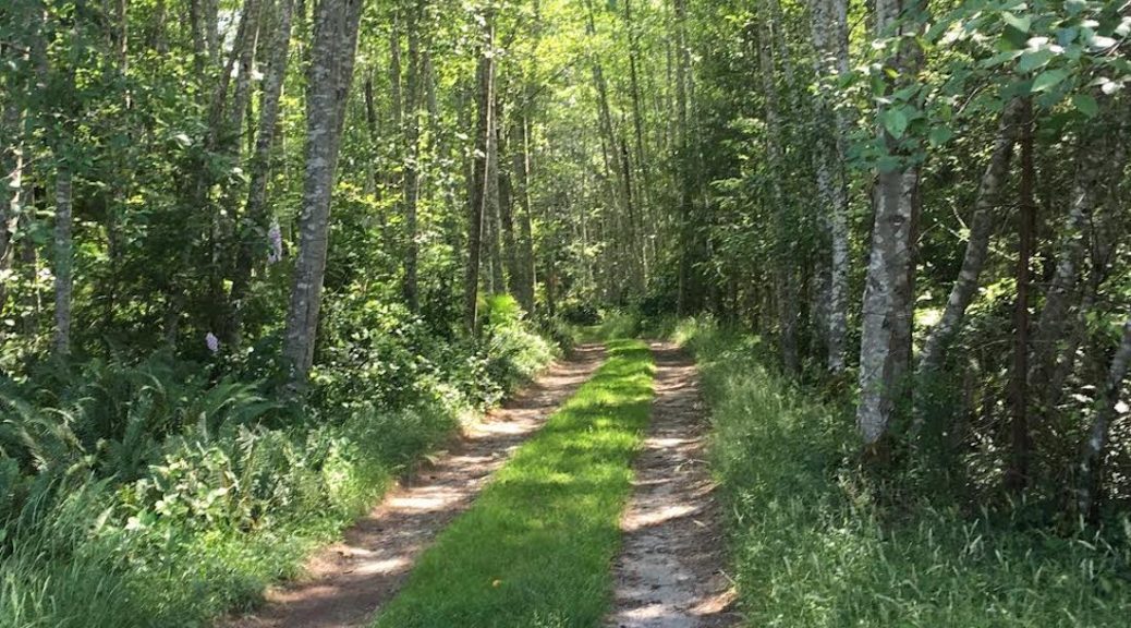 what's going to happen to the rest of Rainbow Ridge?