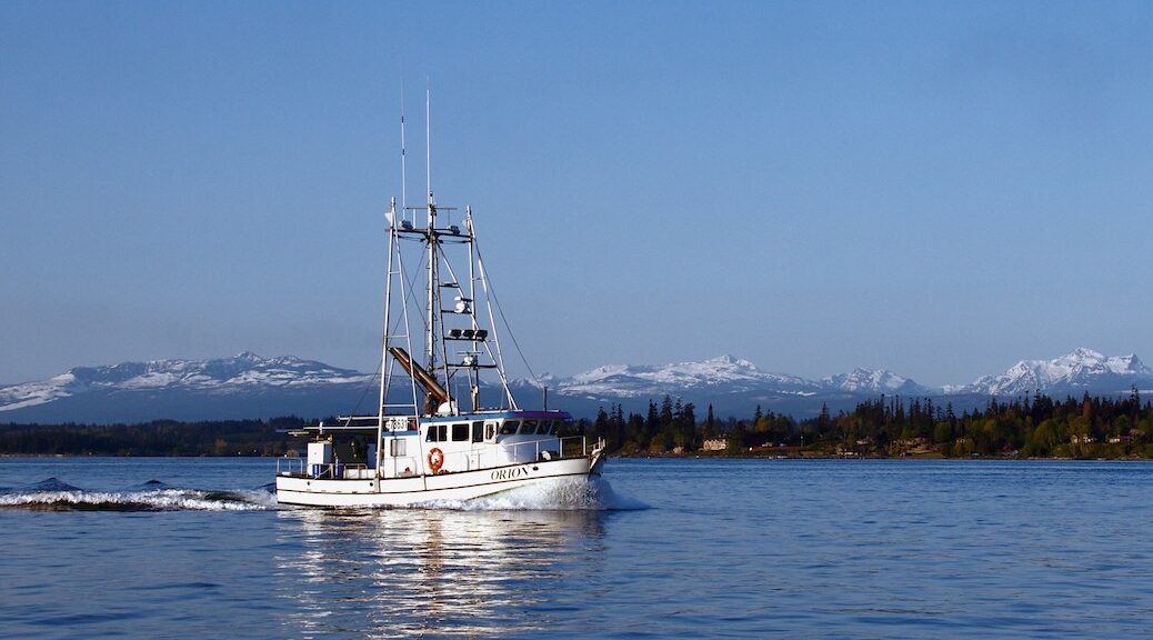 Sweeping reductions to BC's commercial salmon fisheries