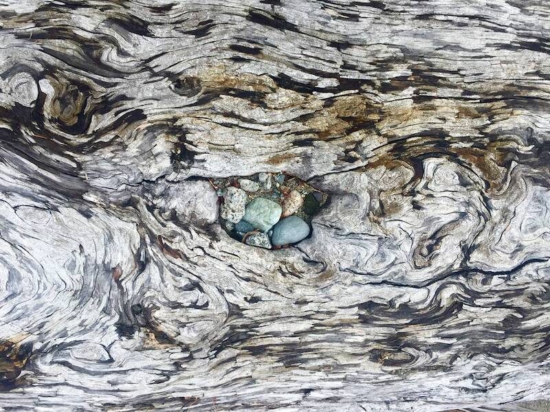 Artwork provided by Cortes Island Foundation
