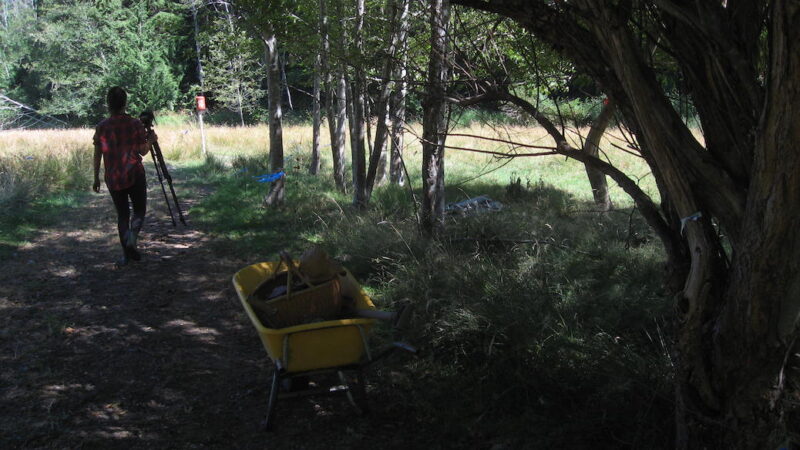 female carrying a camera from the shade of a copse into the sunshine of the field at the Dillon Creek Restoration projectat