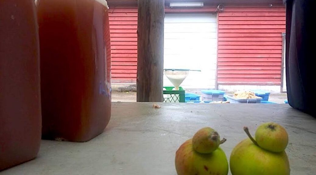 two apples on aconcrete floor, large juicers beside them