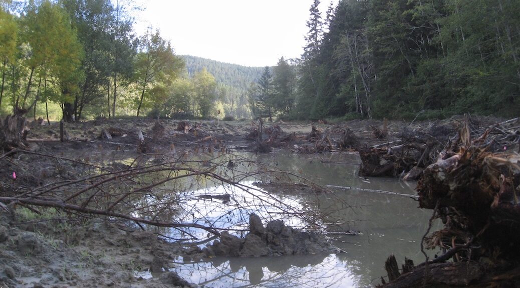 A pond surrounded by monds of dirt and debris. The treeline is in the distance