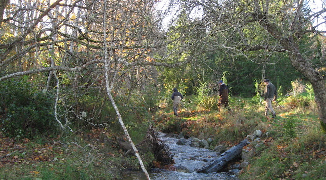 Three men proceeding up a creek