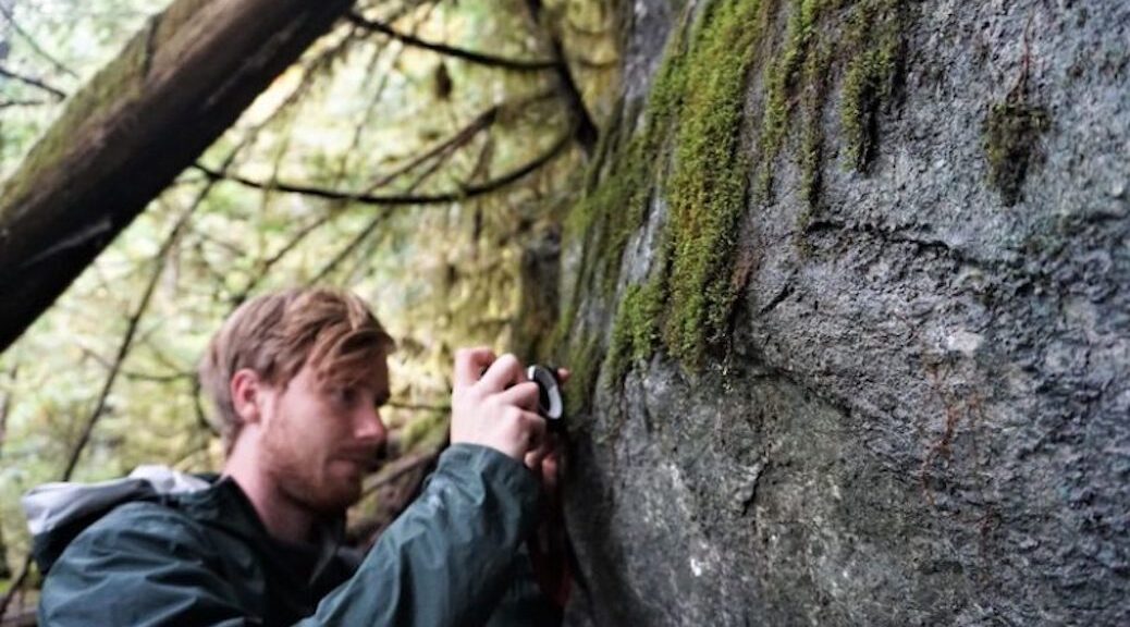 Dan Tucker, shown above, is currently a researcher in residence at the EcoLab on Linnaea farm in partnership with Wild Cortes, Cortes Island Museum and FOCI. The image is of him finding endangered moss Zygodon gracilis