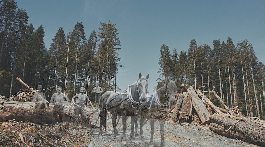 Photo of loggers and horse from the early 1900s imposed on picture of a modern clearcut
