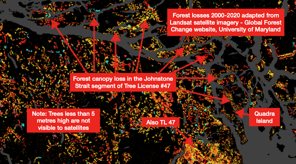 Ma showing forest canopy loss