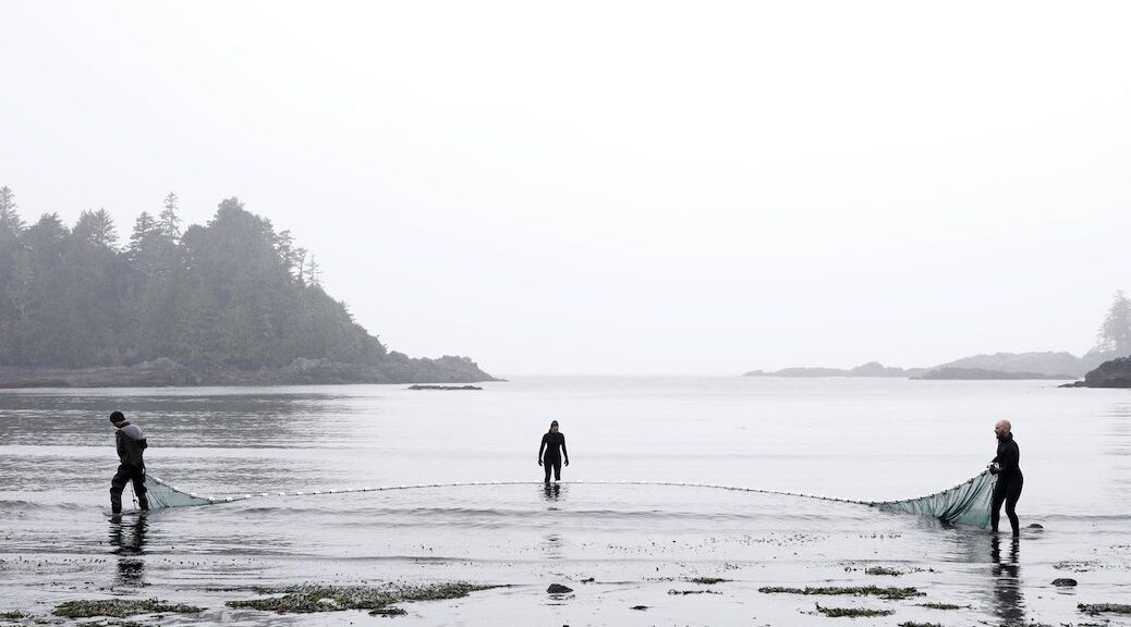 Three people dragging a seine net along a beach