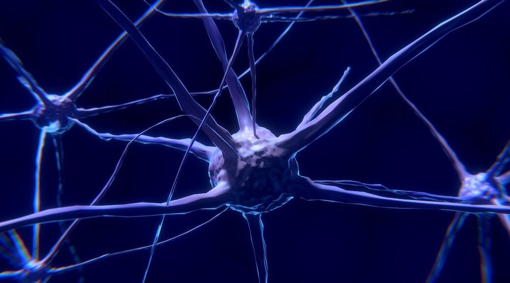 the many networks of Neuroplasticity