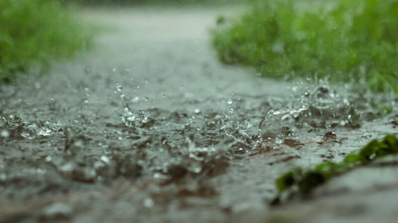 Raindrops on a walkway