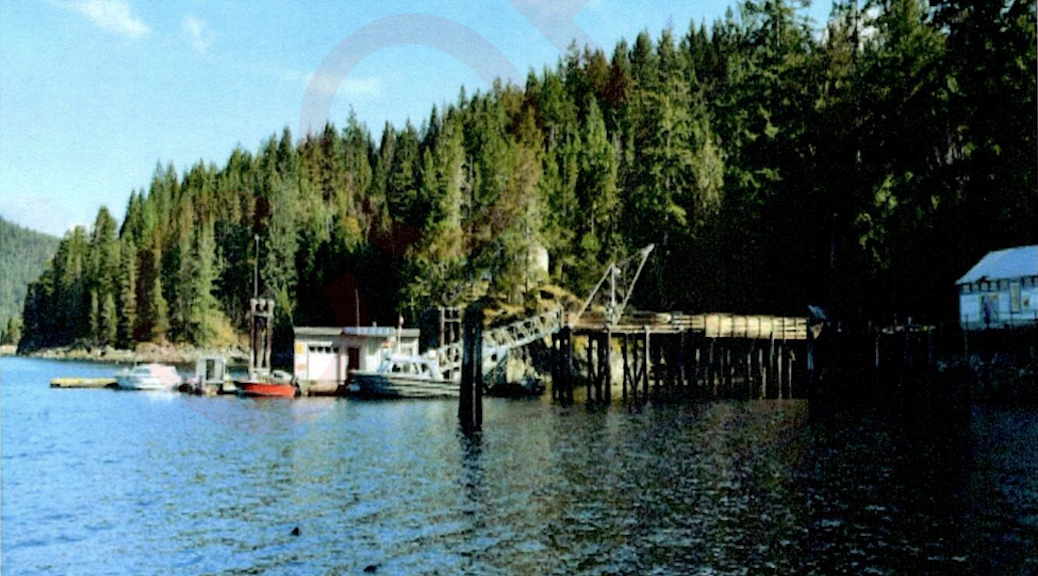 A wharf, with boats tied up to it, juts out from a heavily wooded island