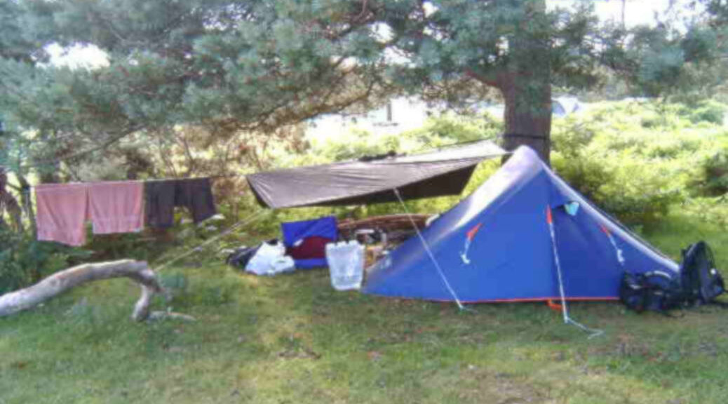 A tent in the woods, with underwear and bags nearby