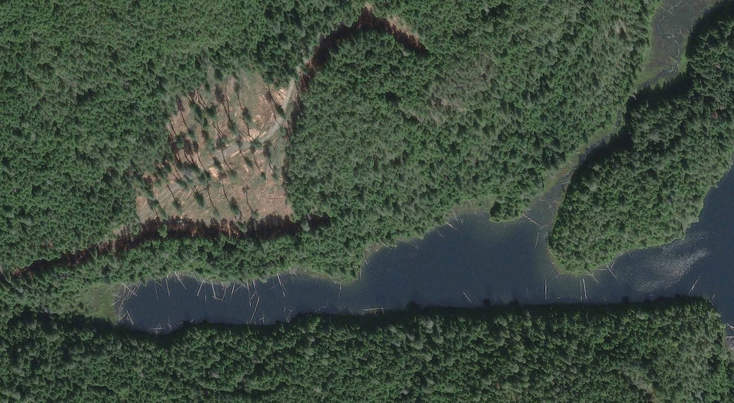 Satelitte image showing a clearcut within a forest