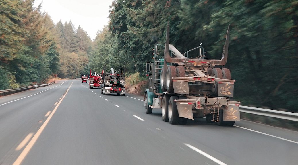 A row of empty logging trucks driving along a well forested highway