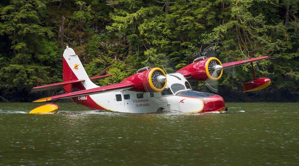 a red and white Gruman Goose seaplane floating beside the shore