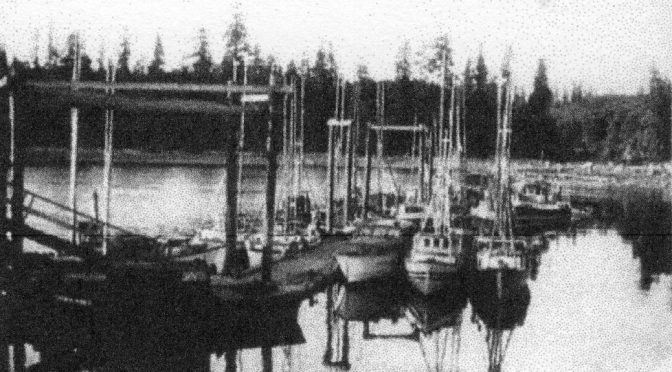 A large number of fishing boats tied up to the wharf