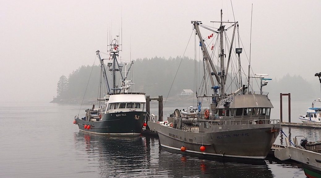 Two fishing boats tied up to the dock on a foggy day