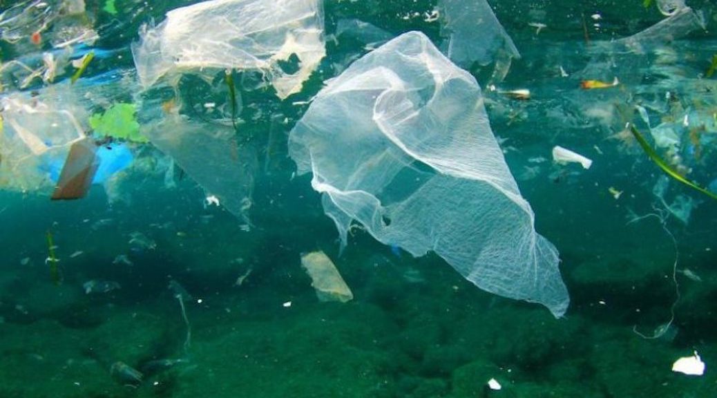 An underwater shot of single use plastic floating about in the ocean