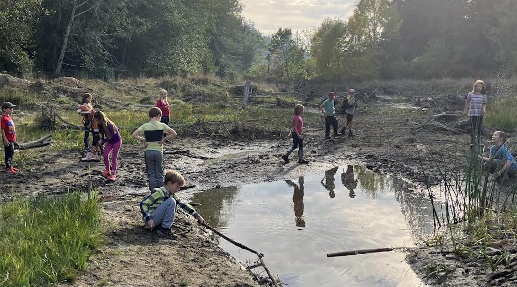A group of kids playing in and around a pond