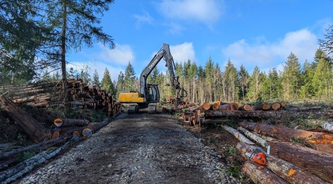 Looking up a gravel road to where a cat is piling logs on either side of the road. The foreground is newly cleared land, and re is a forest further on.