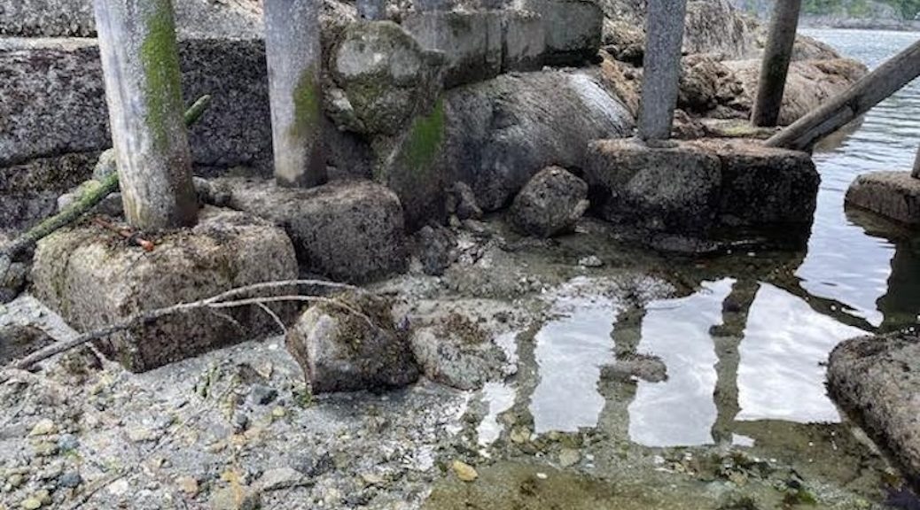 The wooden pilings of a dock, sitting on top of concrete footings. There is rock underneath this