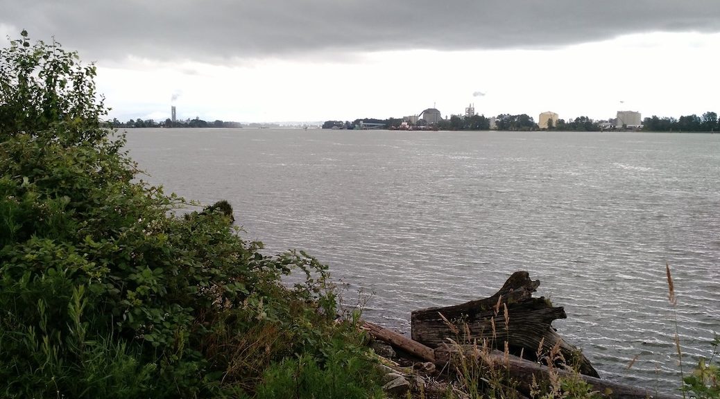Looking out to a river surrounded by human habitations and greenery