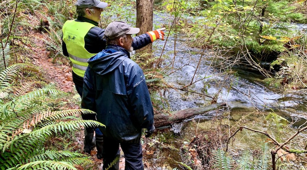 Two men overlok a guhing stream in the woods