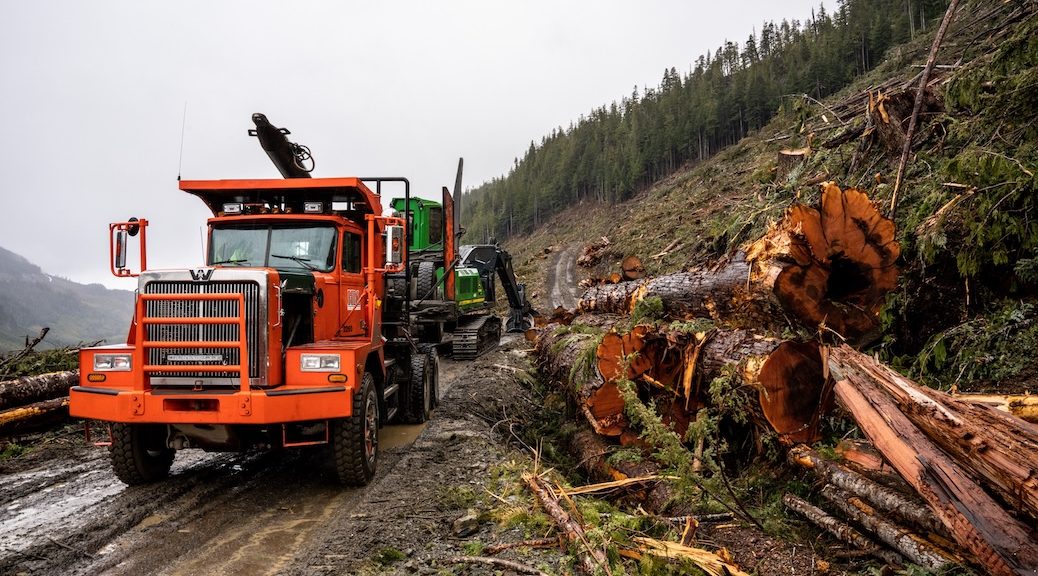 logging truck beside pile of freshly cut logs in the midst of a clearcut