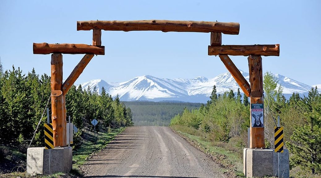 Looking through a log arch towards the mountains