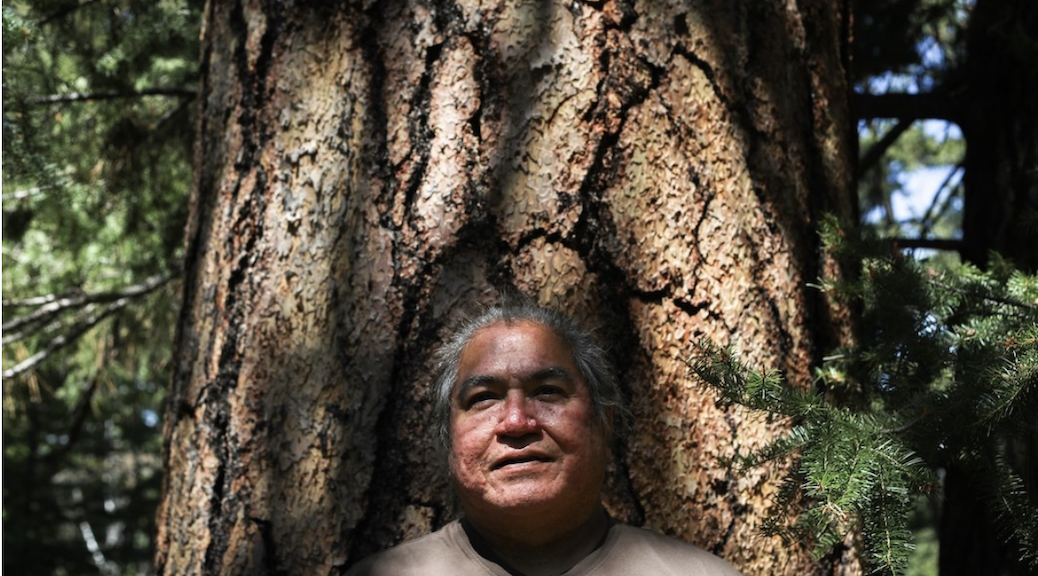 Indigenous man standing against bore of a large tree