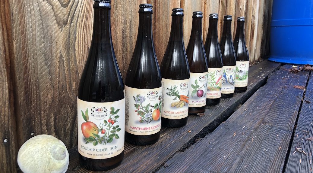 Seven cider bottles in a row, sitting in a deck
