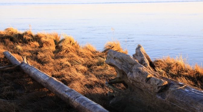 Looking across from land in which private property rights are allegedly threatened, to a slow moving river and the distant shore