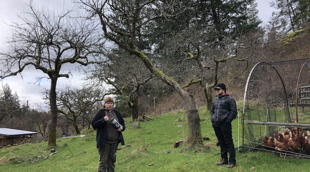 A young woman and a man stnding at the edge of a hibernating apple orchard