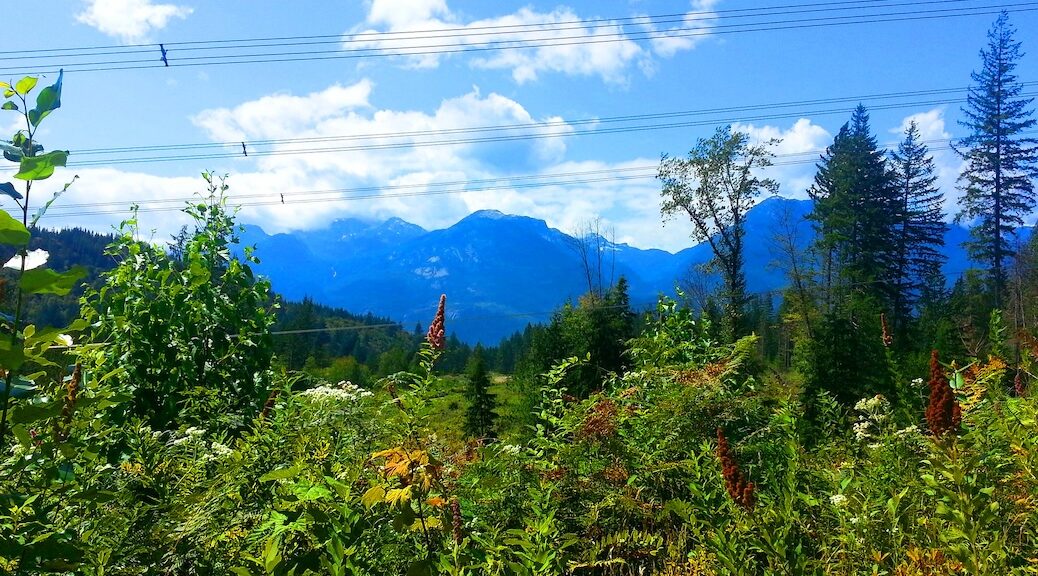 Looking across the bushes and trees to wards the mountains and a blue sky