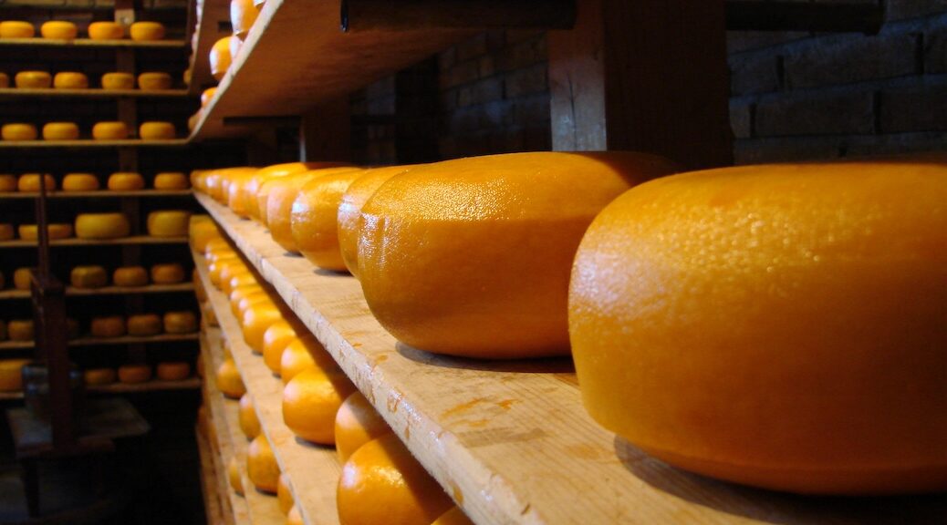 Shelves stocked with cheeses from Amsterdam in the EU