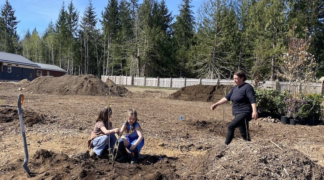 Two loittle girls beside a nearly planted tree. An adult approaches