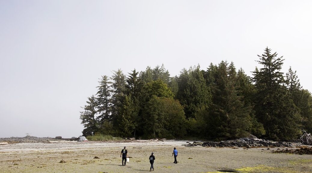 Three figures walking along a sandy spit to a forested area