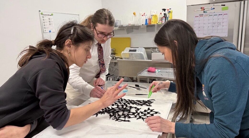 Two women and a man lean over a table where a black fishnet is displayed