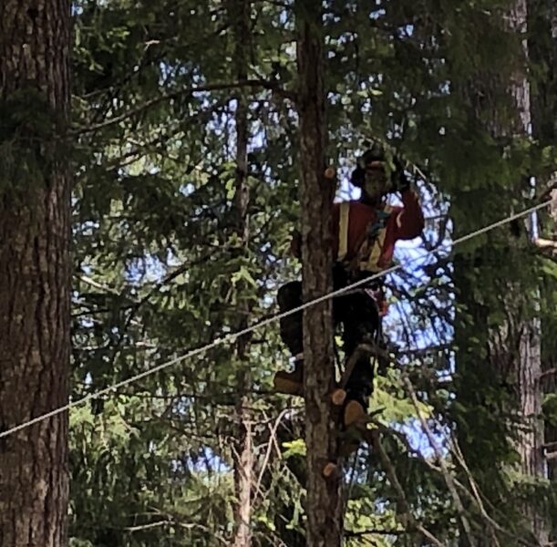 One of the tree limbers used by BC Hydro
