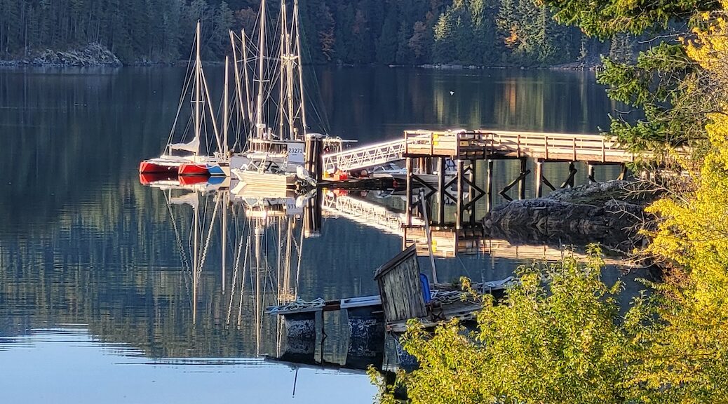 Renee Desautels' dock A dock on Sonora Island with several boats tied up to it