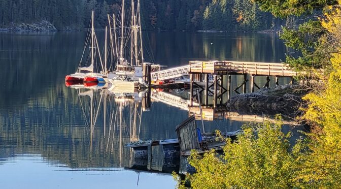 Renee Desautels' dock A dock on Sonora Island with several boats tied up to it