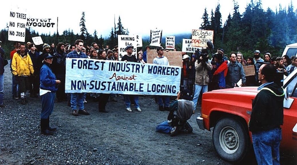 A group of people with signs like 'Forest INdustry Workers against Non-Sustainable Logging" and Protect Clayoquot'