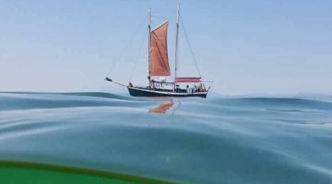 The Friuends of COrtes Island 2026 season kicked off with a Secret Shelf Exploration from the sailboat MIsty Isles, here seen on a near clam sea